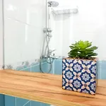 Coral Light Retreat C71
